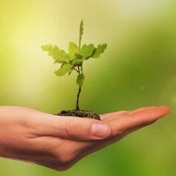 Design principles with a world wide impact