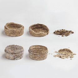 Renewables to rescue